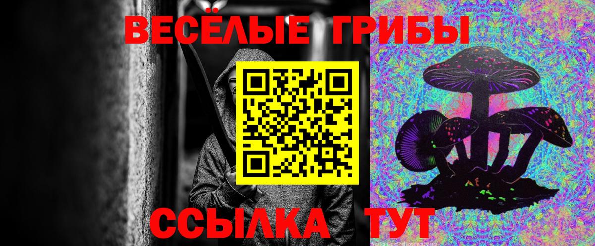 Галлюциногенные грибы GOLDEN TEACHER  Вход с VPN  купить наркотики цена  Кушва 